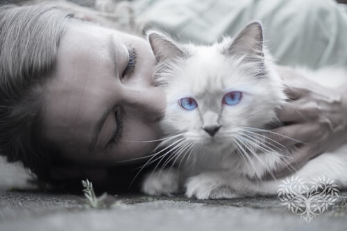 human cuddling pet cat  - individual pet cremation Brisbane