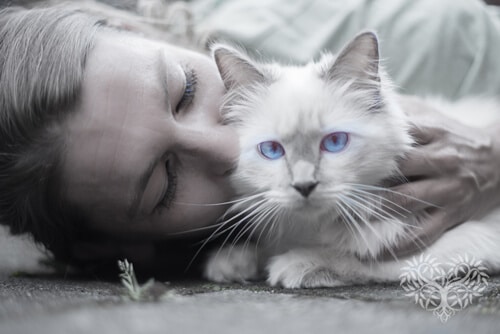 human cuddling pet cat - individual pet cremation Brisbane