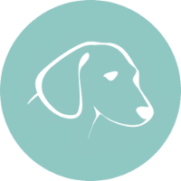 white dog icon on teal circle - dog icon