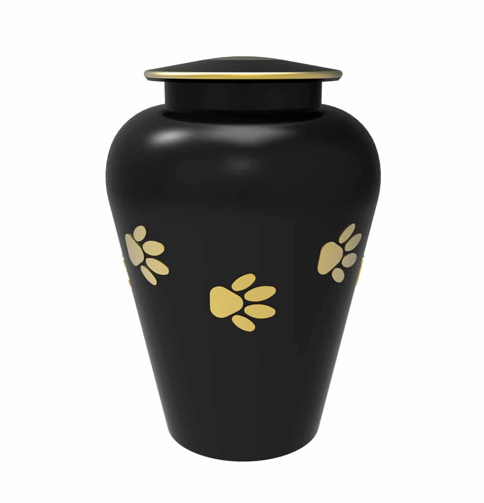 Black Cremation Urn For Cat