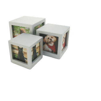 white photo pet urn white photo pet urn