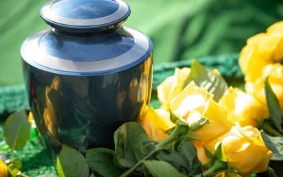 The Cost Of Gold Coast Pet Cremation