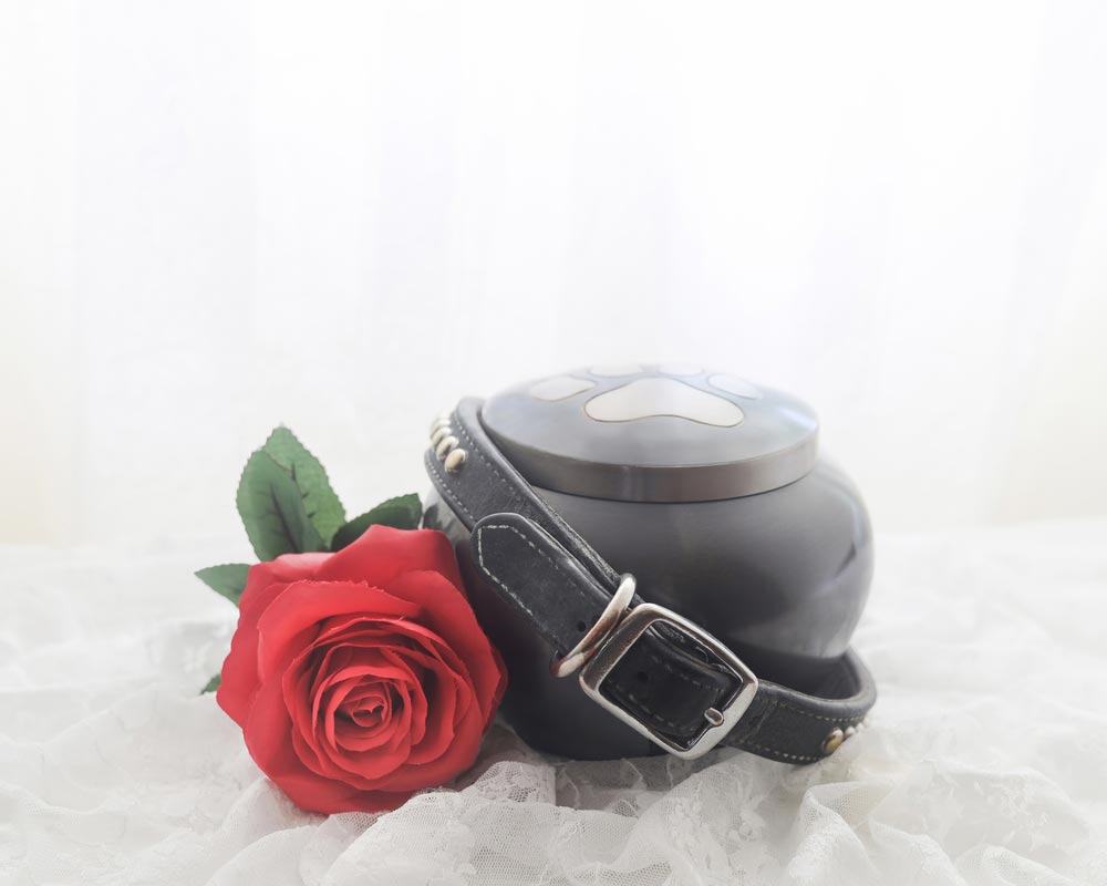 Pet Urn With Red Rose