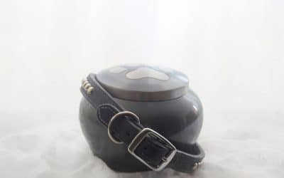 The Importance Of Quality Pet Urns For Your Pet’s Ashes