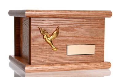 Farewelling A Feathered Friend: A Guide To Pet Bird Cremation