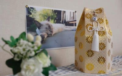 How Much Does It Cost To Cremate A Cat?